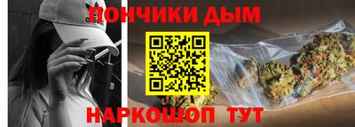 индика Можга