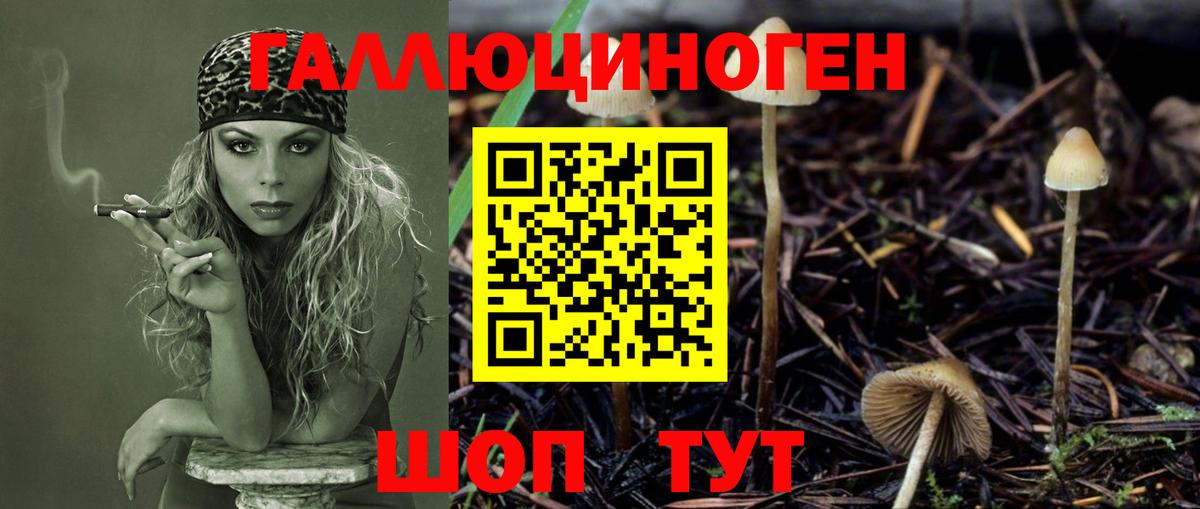 закладка  Вход с VPN  Галлюциногенные грибы Cubensis  Шарыпово  Псилоцибиновые грибы Psilocybe 