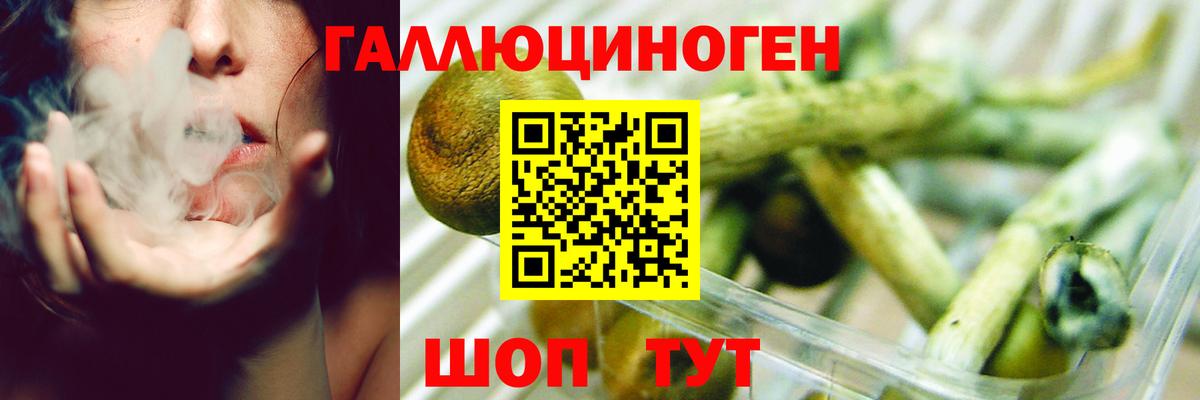 Галлюциногенные грибы Cubensis Шарыпово